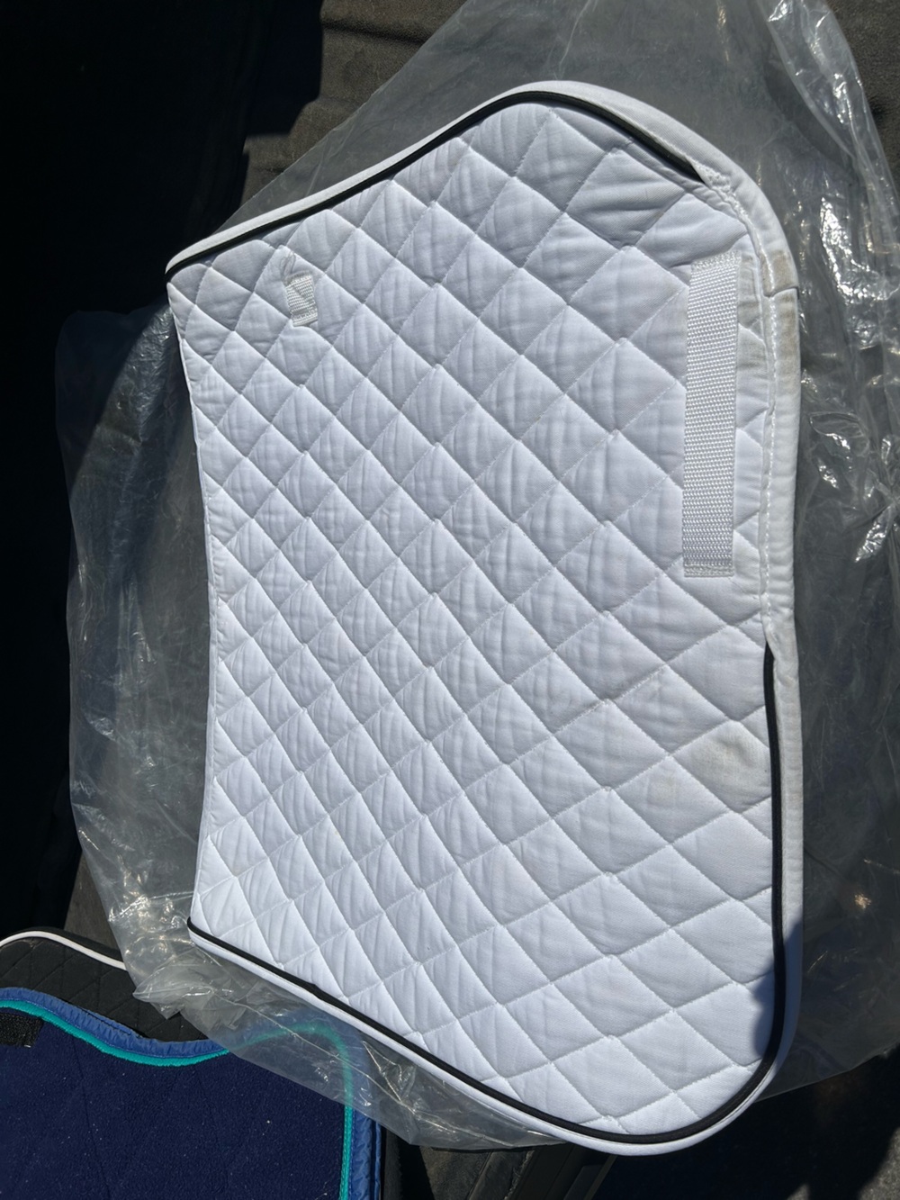 Dressage pad